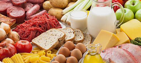 Flora batterica intestinale